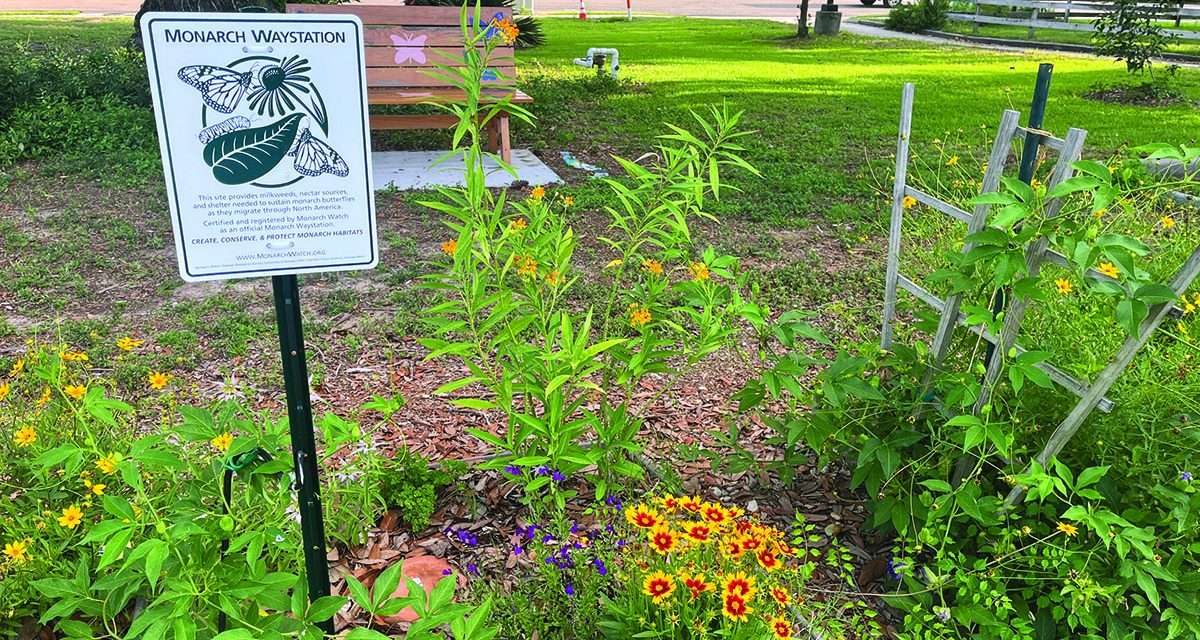 Nature Grant Awarded to Pass Christian Garden Club