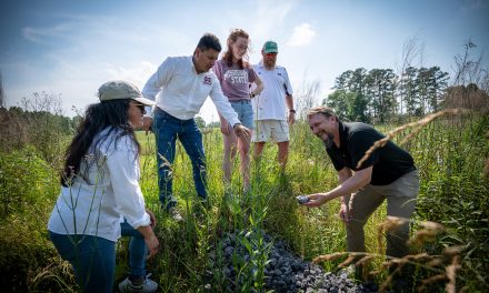 MSU Leads Study of System to Improve Water Quality