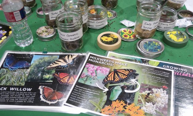 Pass Christian Spreads its Wings for Butterfly Festival