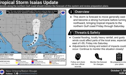 The National Hurricane Center Designates Tropical Storm Isaias in the Gulf